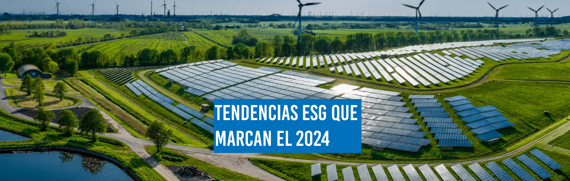 Forética: cinco tendencias ESG para 2024