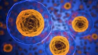 Diseñan baterías diminutas para alimentar robots del tamaño de una célula