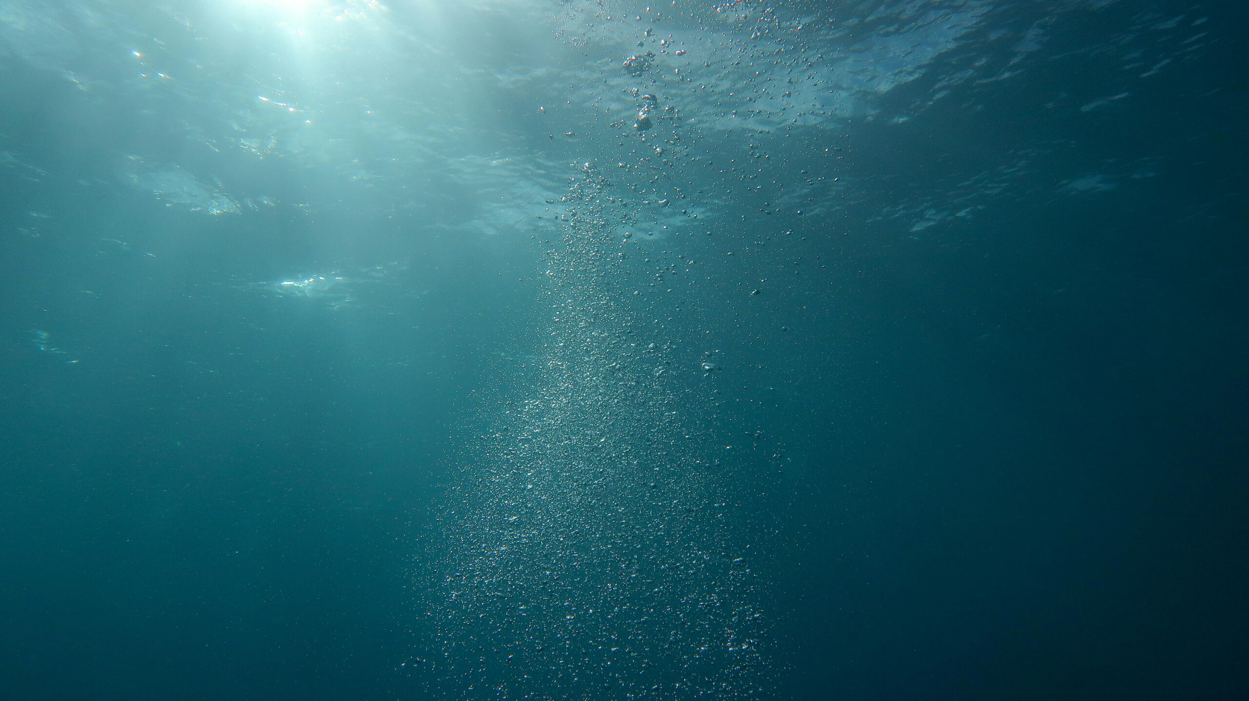 Limpieza bajo el agua: el reto de descontaminar los mares griegos de redes y plásticos