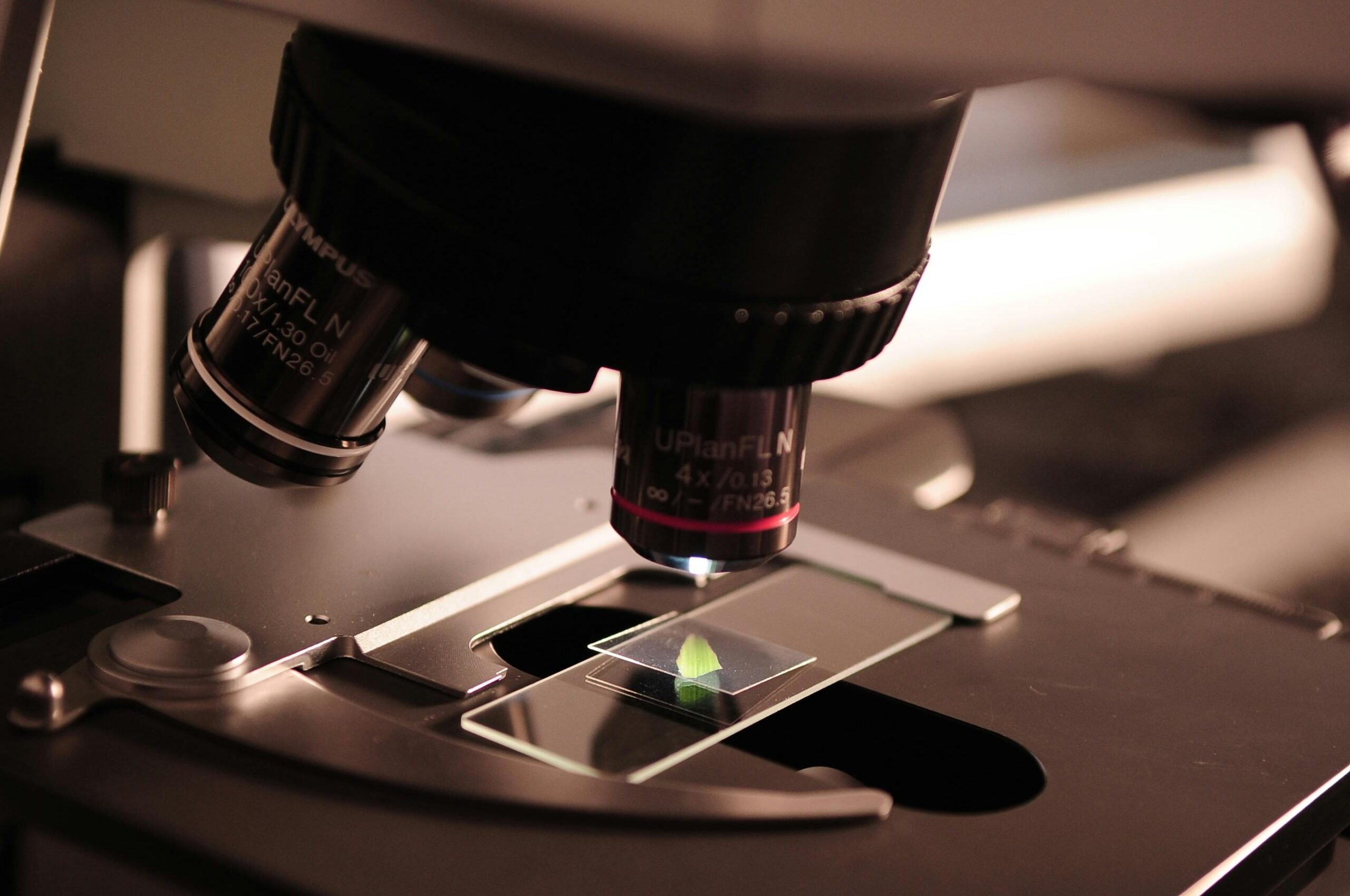 Las microalgas, una alternativa sostenible a la carne para obtener proteínas necesarias