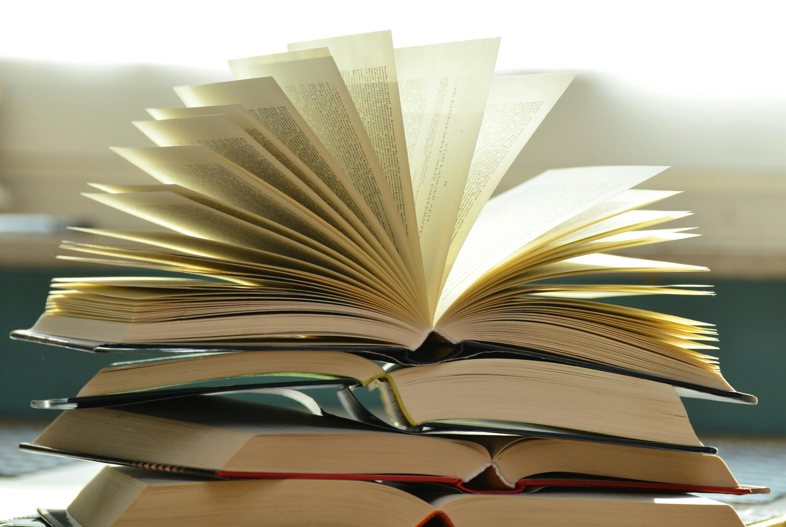 Lectura recomendada: «Libro de recetas» para los Líderes de Seguridad de Pedro Pablo Perea