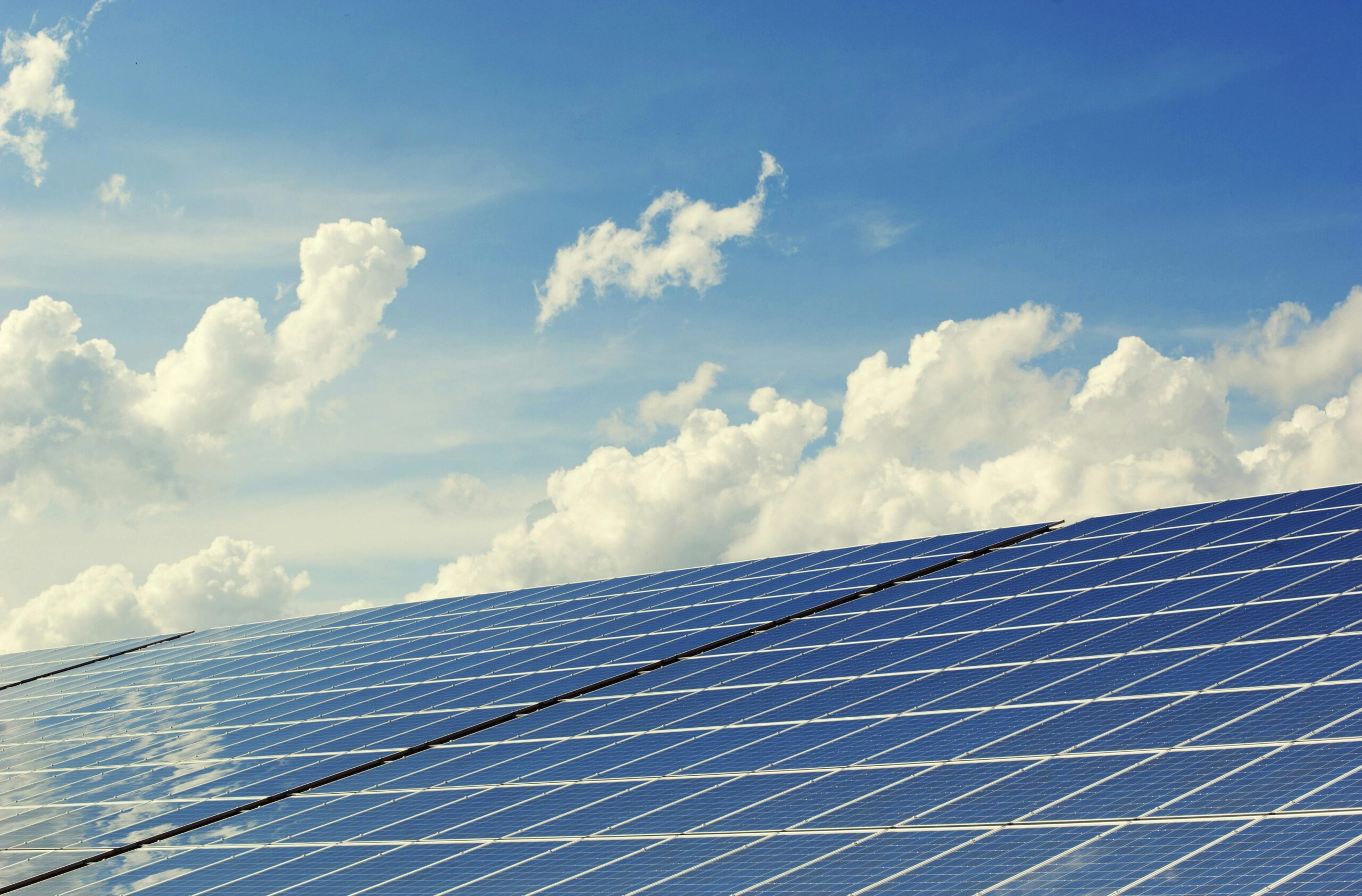 España, la elegida para desarrollar tres de las diez startups del Amazon Sustainability Accelerator