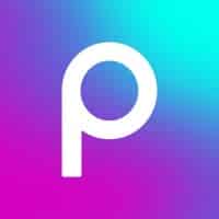 Head of Performance Marketing – Picsart