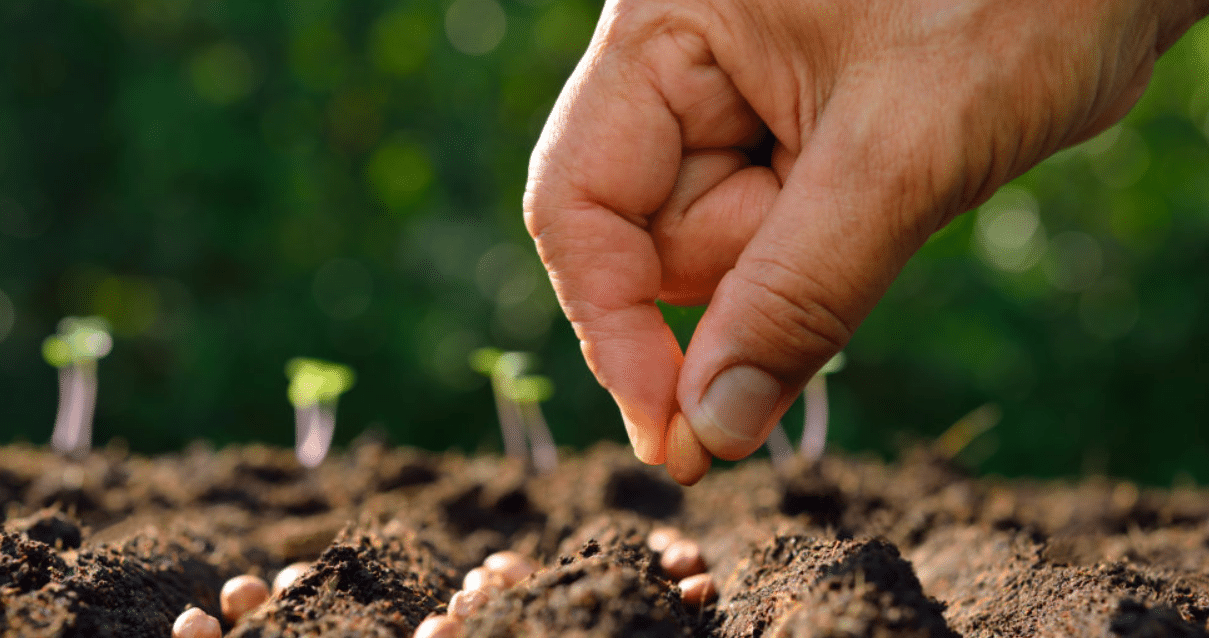 Repensar la alimentación: clave para frenar el cambio climático y recuperar la naturaleza