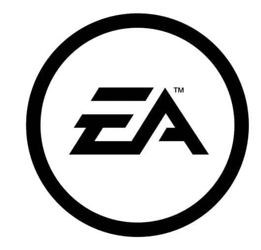 Director de Performance Media – Electronic Arts