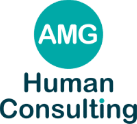 Chief Security Officer (CSO) – AMG Human Consulting