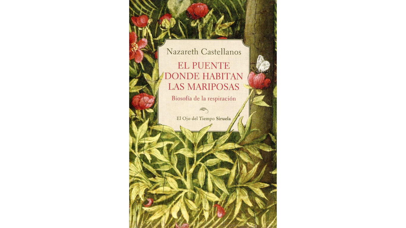 Lectura recomendada: El puente donde habitan las mariposas