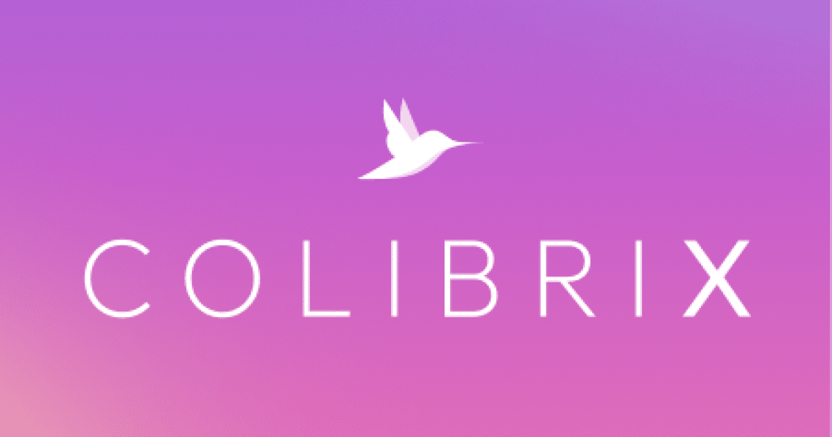 Chief Information Security Officer (CISO) – Colibrix One
