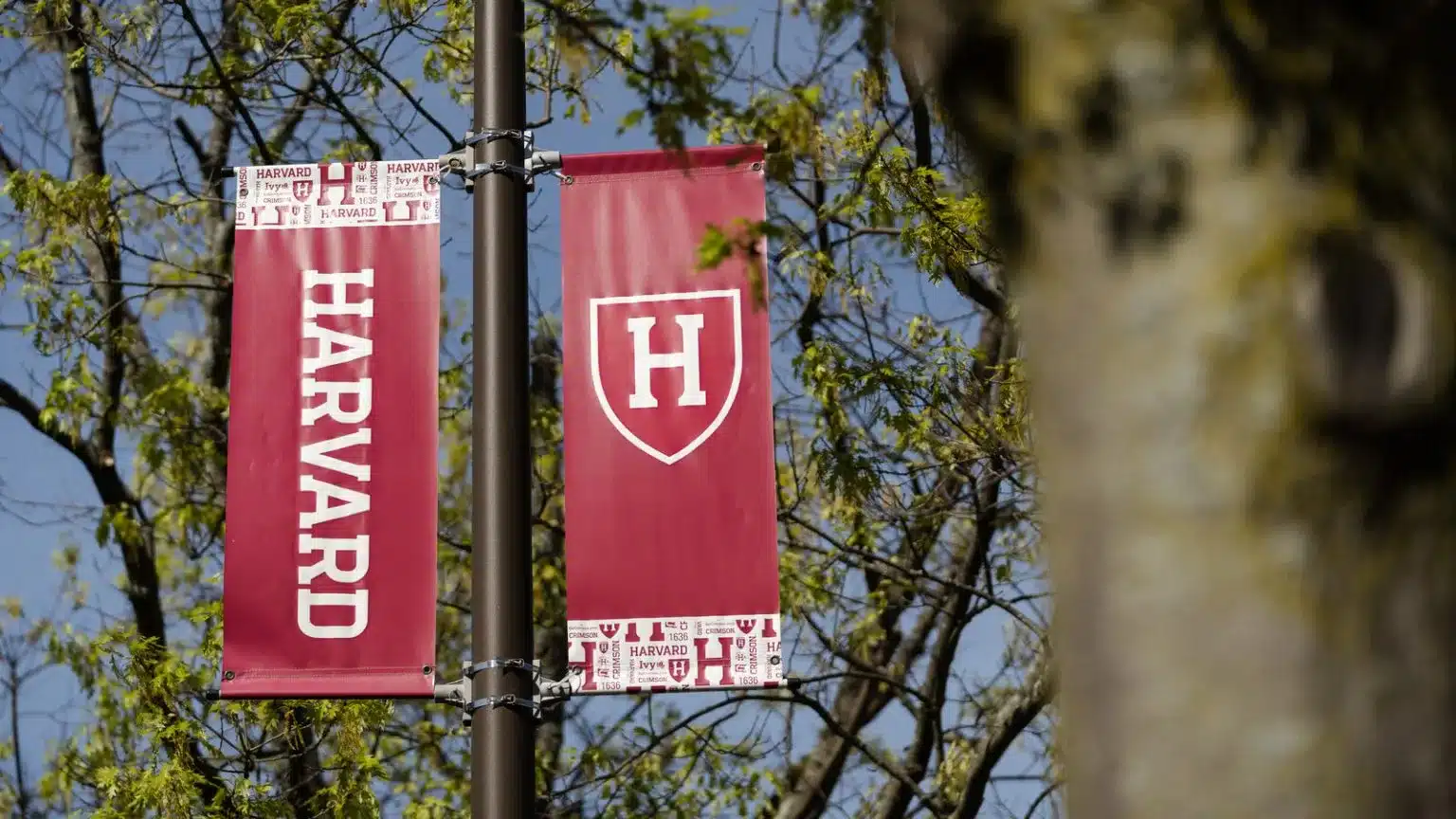 Harvard acelera su revolución verde: reduce un 32% sus emisiones y se prepara para un campus 100% renovable en 2026