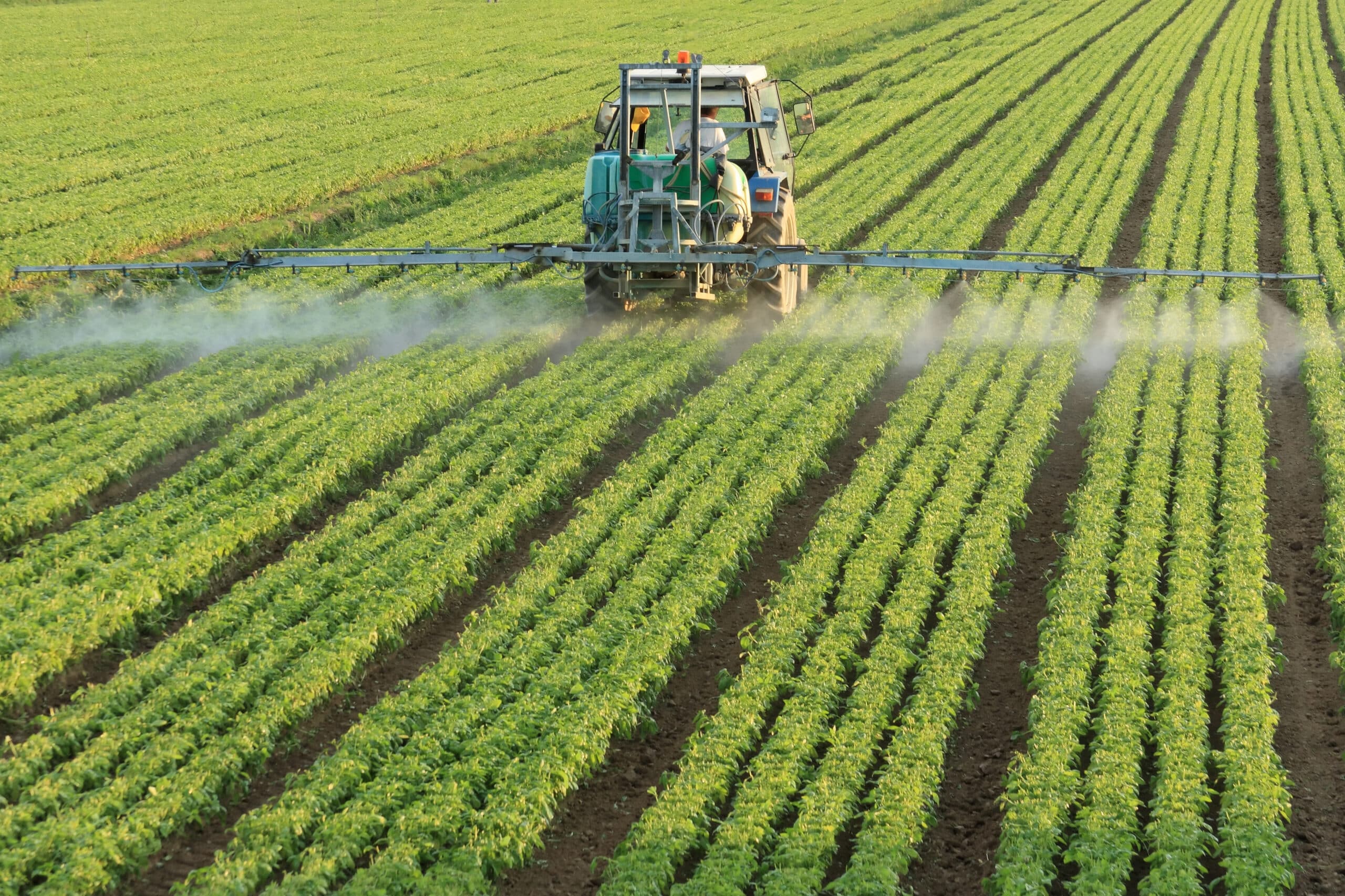España acelera el cambio hacia pesticidas más sostenibles: crece el uso de productos de bajo riesgo