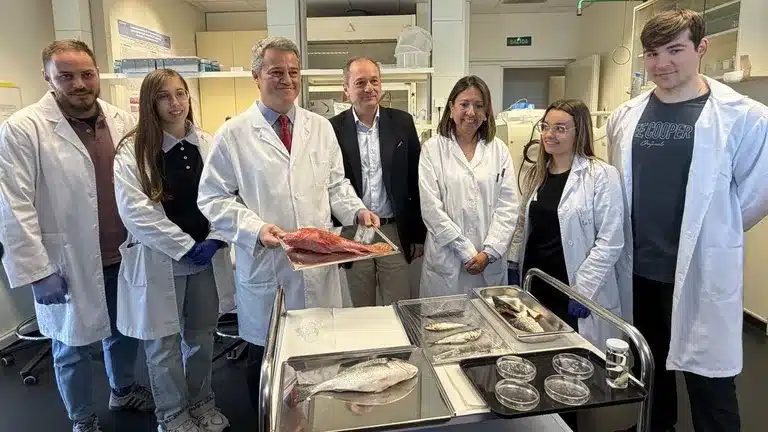 Científicos españoles crean una córnea artificial a partir de escamas de carpa