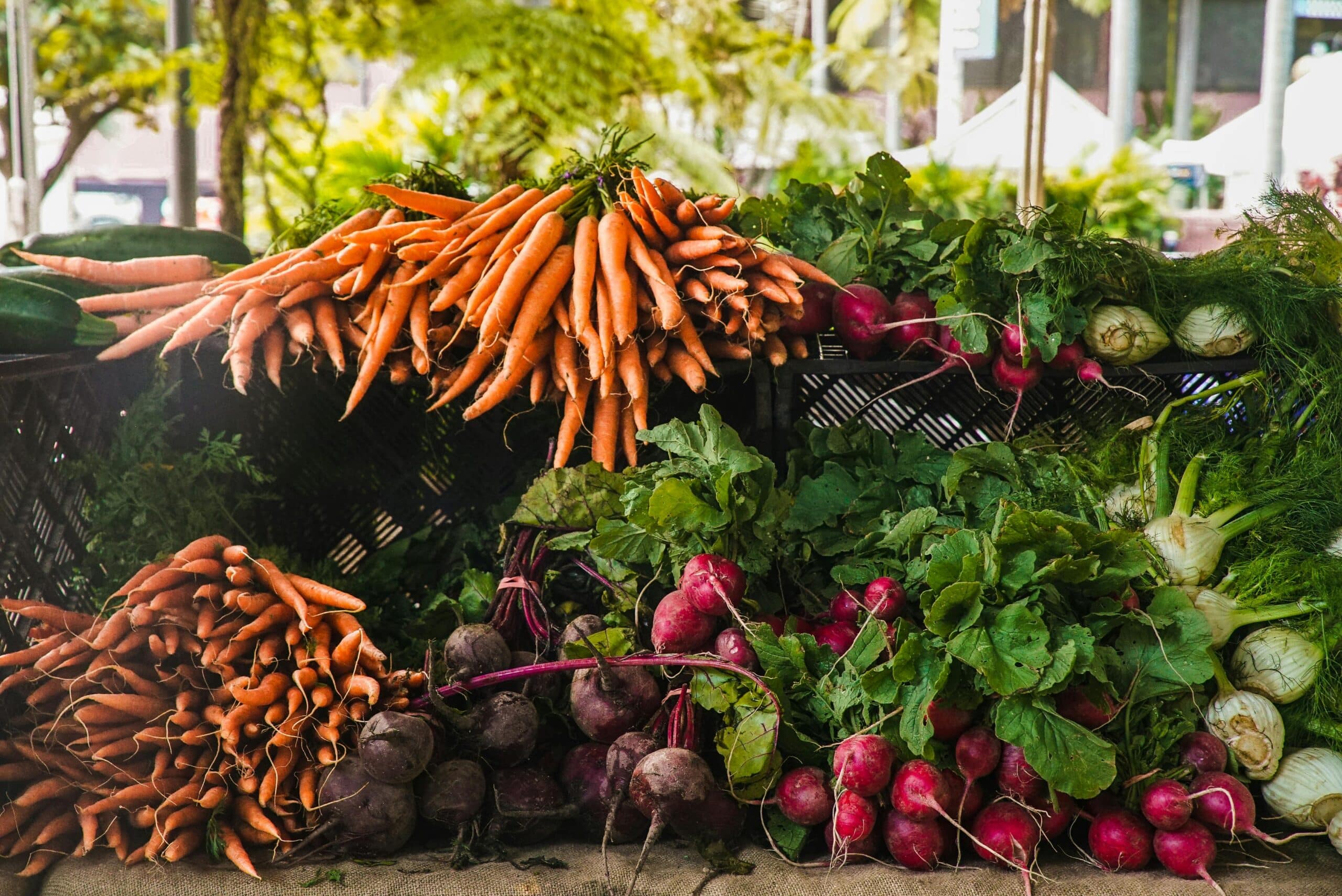 La tecnología se posiciona como clave para reducir el desperdicio alimentario en América Latina