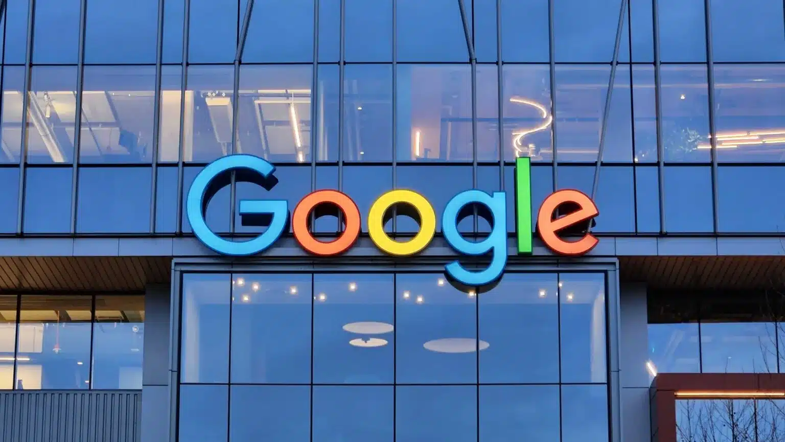 Google y McKinsey apuestan por la reforestación inteligente para capturar 320.000 toneladas de CO₂